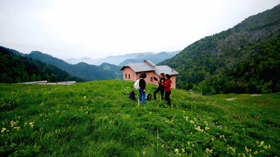 Catturati dalla Rete: lo studio della biodiversità