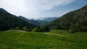 Prati fioriti al Centro visite di Tremalzo