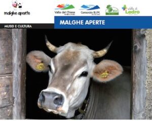 Malghe aperte