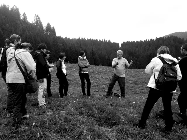 FormAzione in Rete