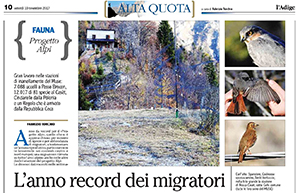 L'anno record dei migratori