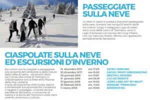 Sintesi attività