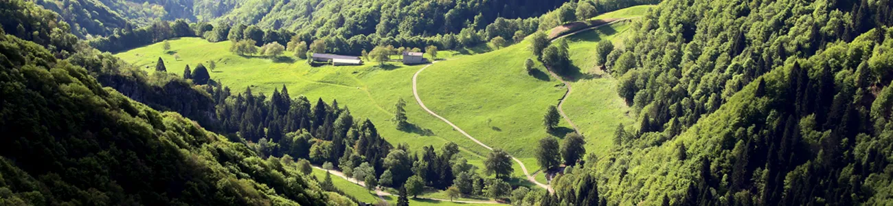 Chiesa di Santa Lucia in Pratis | Rete di Riserve Alpi Ledrensi