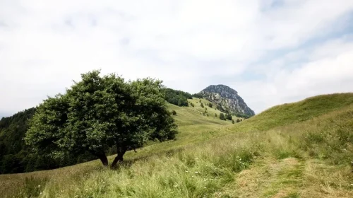 Alpo di Storo e Bondone