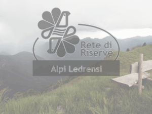 Cambiamenti nel paesaggio. Servizi ecosistemici e biodiversità: un caso di studio in Valle di Ledro (Trento)