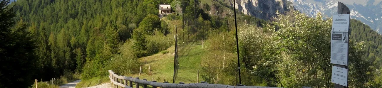 Studi e Ricerche | Rete di Riserve Alpi Ledrensi