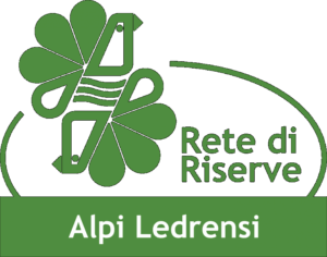 Identikit of local tourism