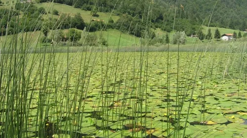 Lago d'Ampola