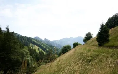 Alpo di Storo e Bondone Alpo di Storo e Bondone