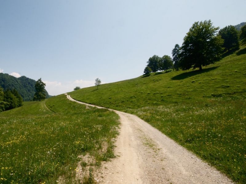 Malga Grassi