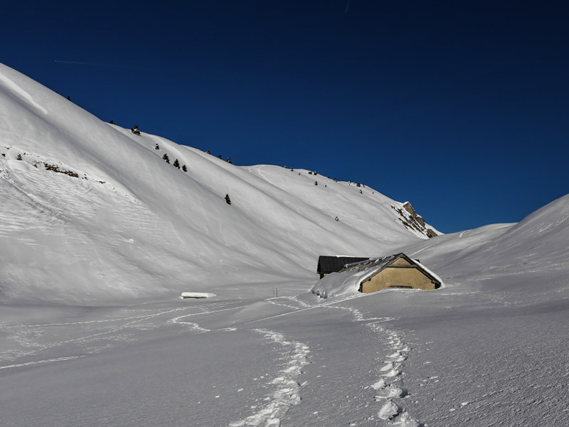 Malga e neve
