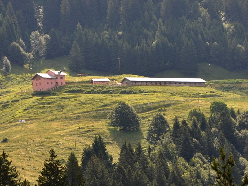 Bocca di Caset ornithological station