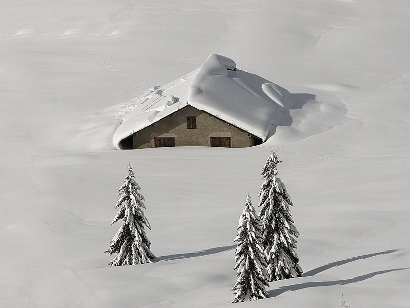 Malga e neve