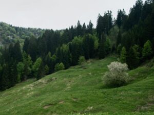 Prati sopra Tremalzo