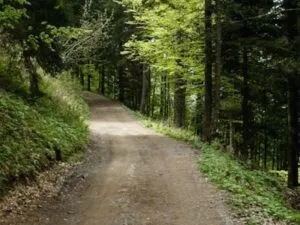 Sterrata sopra Centro Visite
